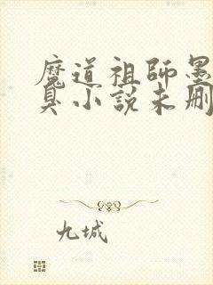 魔道祖师墨香铜臭小说未删版完整