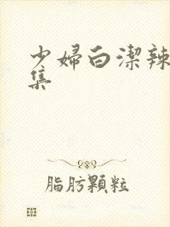 少妇白洁辣文合集