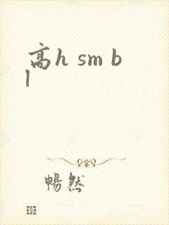 高h sm bl