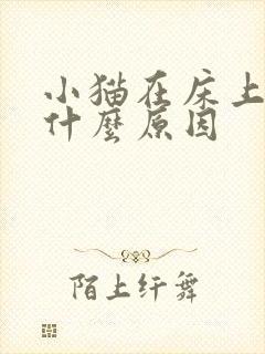 小猫在床上拉尿什么原因