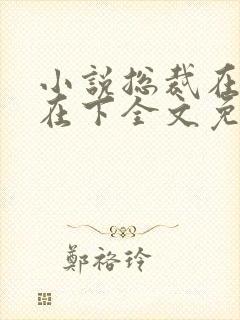 小说总裁在上我在下全文免费阅读