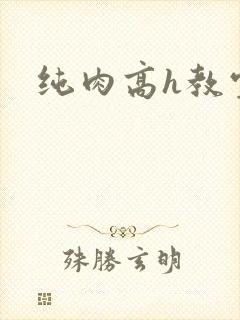 纯肉高h教室封面