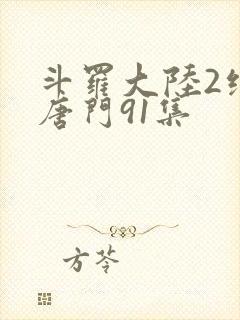 斗罗大陆2绝世唐门91集