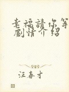 幸福请你等等我 剧情介绍