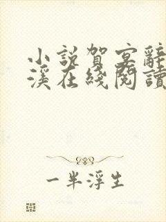 小说贺宴辞颜以溪在线阅读