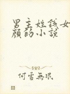 男主姓钱女主姓颜的小说
