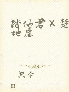 踏仙君×楚妃雪地虐