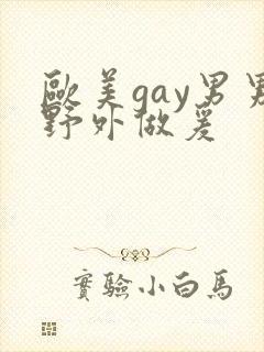 欧美gay男男野外做爰