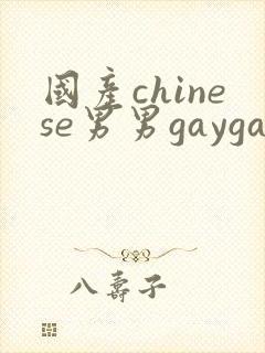 国产chinese男男gaygay网站