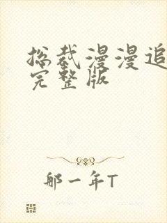 总裁漫漫追妻路完整版封面