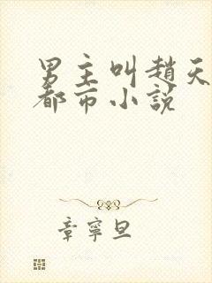 男主叫赵天宇的都市小说