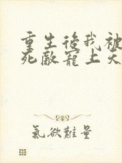 重生后我被渣男死敌宠上天