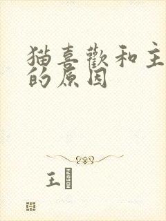 猫喜欢和主人睡的原因