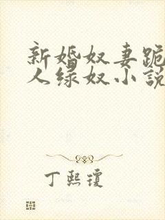 新婚奴妻跪行主人绿奴小说封面