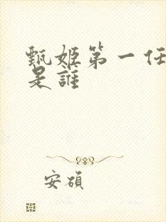 甄姬第一任丈夫是谁封面