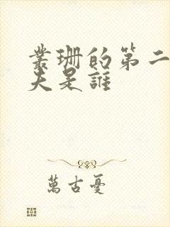 丛珊的第二任丈夫是谁