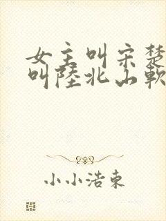 女主叫宋楚男主叫陆北山软软娇美小
