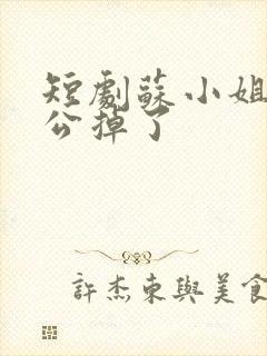 短剧苏小姐你老公掉了