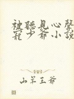 被听见心声的团宠少爷小说