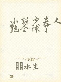 小说少夫人她惊艳全球了封面