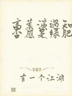 高叶演过知否知否应是绿肥红瘦吗