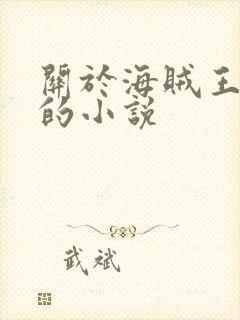 关于海贼王同人的小说封面