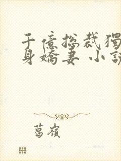 千亿总裁独宠替身娇妻 小说完整