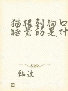 猫爬到胸口上来睡觉的是什么