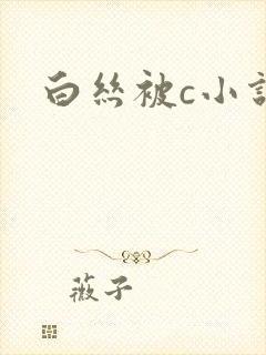 白丝被c小说封面