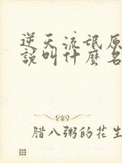 逆天流氓原著小说叫什么名字封面