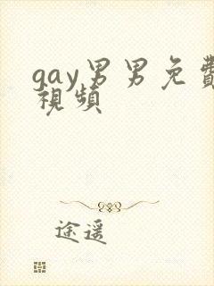gay男男免费视频封面
