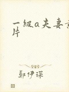 一级a夫妻黄色片