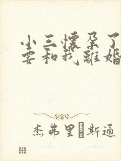 小三怀孕了老公要和我离婚我该怎么办封面