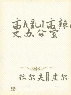 高h乱l高辣h文办公室