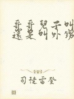 哥哥儿子叫侄子还是叫外甥