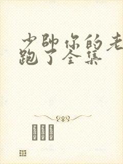 少帅你的老婆又跑了全集