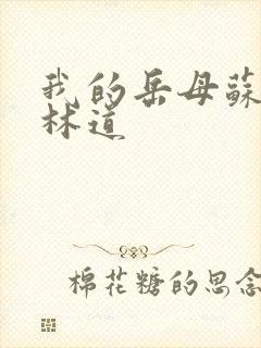 我的岳母苏沛真林道封面