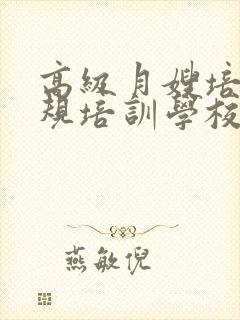 高级月嫂培训正规培训学校