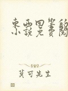 东西回响的原著小说免费阅读