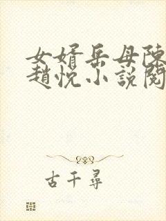 女婿岳母陈超,赵悦小说阅读全文最新章节