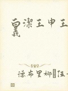 白洁王申王乙高义封面