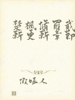 楚枫修罗武神最新更新章节