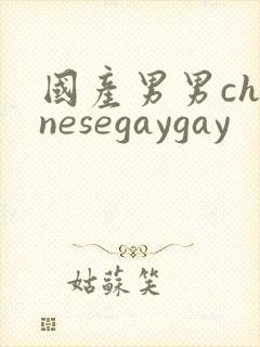 国产男男chinesegaygay封面