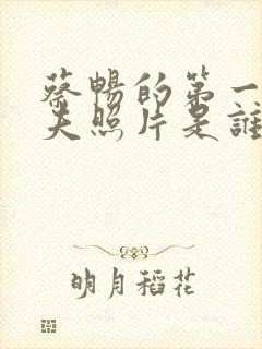 蔡畅的第一任丈夫照片是谁