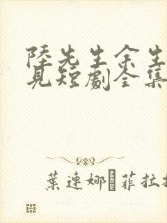 陆先生余生不再见短剧全集免费观看封面