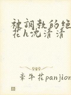 被调教的绝色校花h沈清清