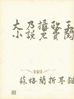 大乃摄政王被开小说免费阅读封面