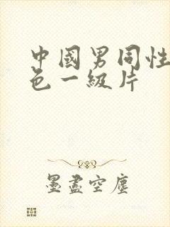 中国男同性恋黄色一级片封面