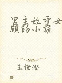 男主姓霍女主姓顾的小说