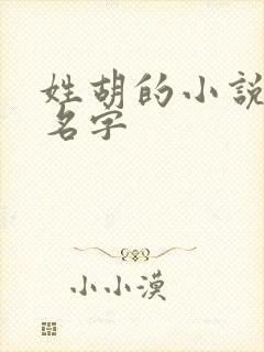 姓胡的小说女主名字